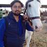 javedzaid's Profile Picture