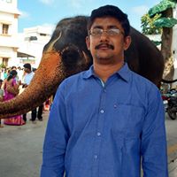 sudhindra54's Profile Picture