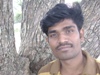 palani_hr's Profile Picture