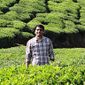 sharad.sankannavar's Profile Picture