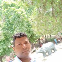 rajendar2611's Profile Picture