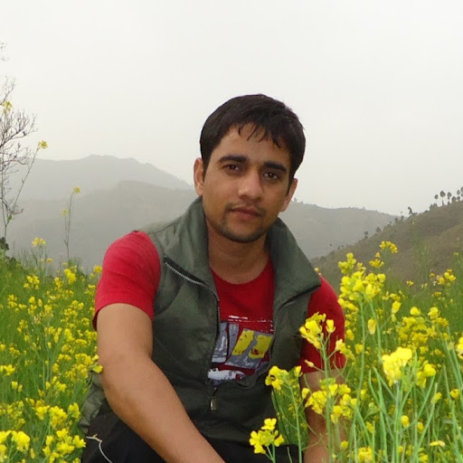 yashpal verma's Profile Picture