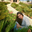 shipra.sipu.mishra@gmai.com's Profile Picture