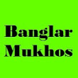 banglar-mukhos's Profile Picture