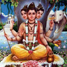 prasadbidkar9@gmail.com's Profile Picture