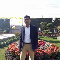 sunil-kumar1's Profile Picture