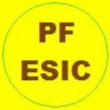 epfpluS's Profile Picture